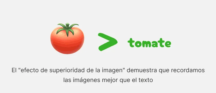 Un tomate dibujado mostrado como mayor que la palabra tomate escrita