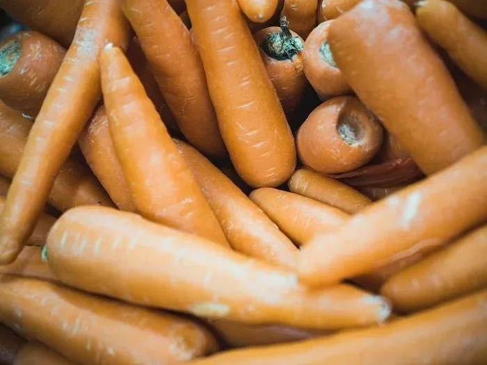 Carottes orange entassées, vues de très près