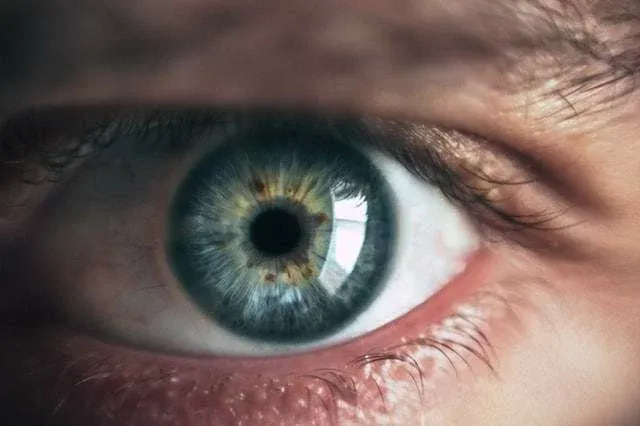 Gros plan sur un œil bleu et son iris