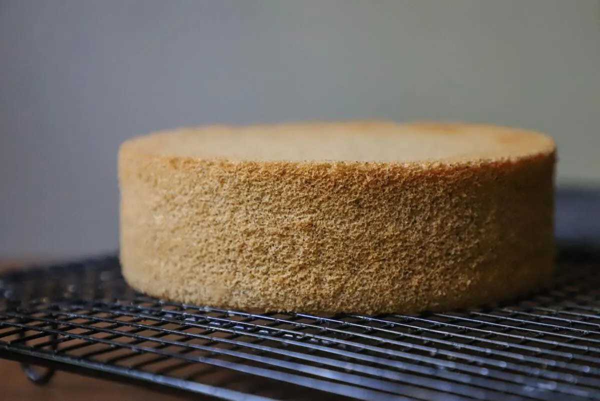 A round sponge cake cooling on a wire rack